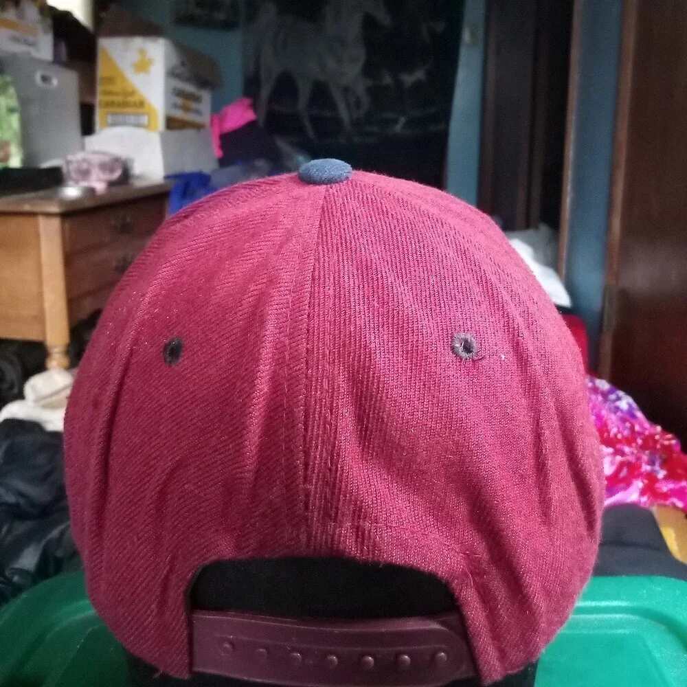 Vintage South Central LA Two Tone Snap Hat Cap